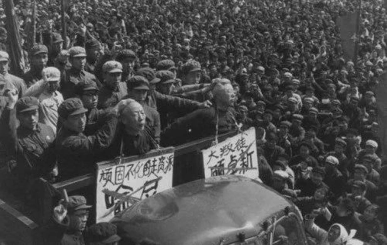 中国文化大革命：历史的伤痕与教训 The Chinese Cultural Revolution: Scars and Lessons from History