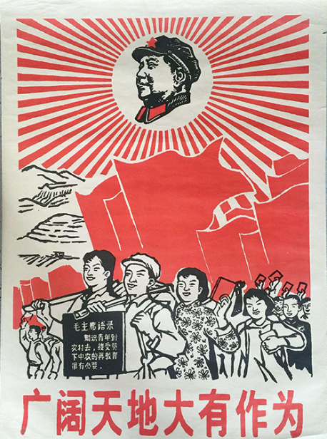 上山下乡运动的历史教训 The Historical Lessons of the Sent-Down Youth Movement